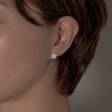 Evence - Star ピアス